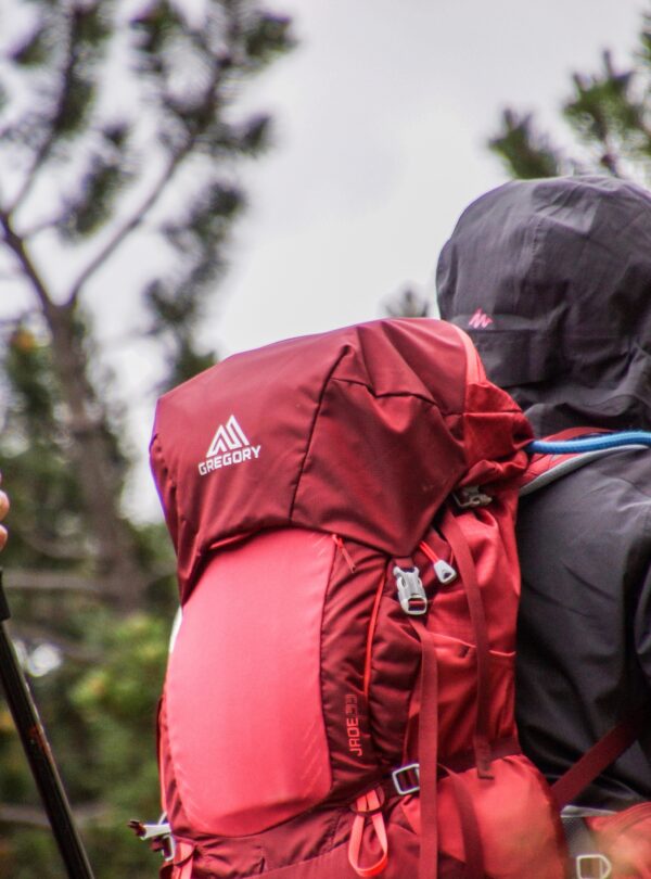 Trekking India