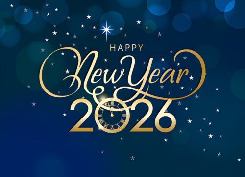 New Year Celebration at Trippy Island